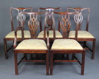 A set of 5 Chippendale style mahogany slat back dining chairs (1 carver, 4 standard) with upholstered drop in seats, raised on square supports with H frame stretcher