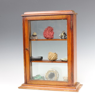 A Victorian rectangular table top display cabinet fitted a shelf containing 9 various geological specimens - blue john, red coral, pyrites etc 38cm x 26cm x 5cm  