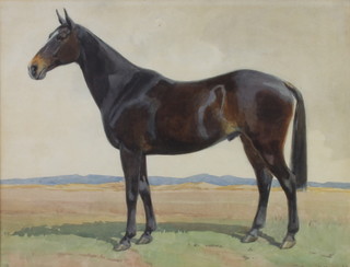 M J Burton RSW, watercolour, study of a horse 33cm x 43cm 