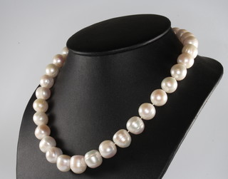A string of cultured pearls with a 9ct white gold clasp, 44cm 