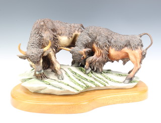 A Capodimonte group by Cortese of 2 bulls on a rocky outcrop no.716, raised on a wooden plinth 51cm 