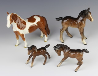 A Beswick figure - Pinto Pony skewbald gloss 16.5cm, a shire foal (large) brown gloss 15.9cm, a foal (small gambolling left) brown gloss 8.3cm and a foal (medium head down) brown gloss 9.9cm, all modelled by Arthur Greddington 