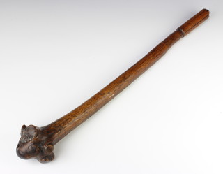 A Fijian rootstock 'Vunikau' war club, 65cm long, the width of the rootstock head approx 10cm. The smooth handgrip is approx 10cm long.