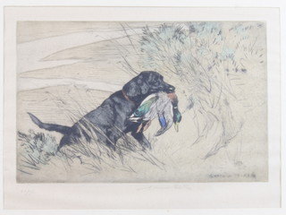 G Vernon Stokes, a coloured print, signed in pencil no.46/75, hunting dog with duck 23cm x 31cm 