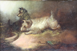 G Arnfield, oil on canvas, "The Rat Trap" depicting 2 terriers 14cm x 21cm 