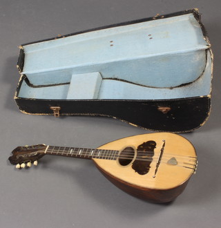 A Giuseppe Vinaccia mandolin no. 466 
