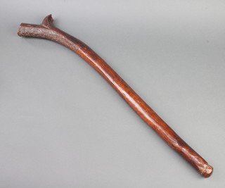 A 19th Century Fijian Kiakavo dance club with ridged teretere between head and spur, 75cm. The underside of the head carved an area of 4.5cm by 23cm