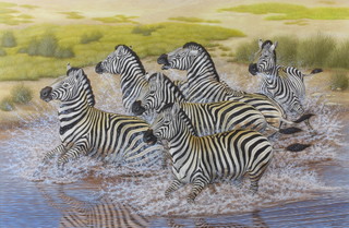 Richard W Orr, gouache signed, study of Zebras 48cm x 74cm 