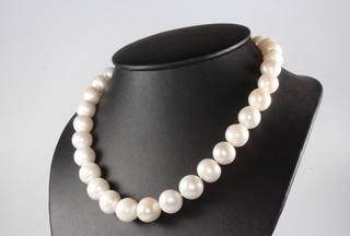 A string of cultured pearls with a 9ct white gold clasp, 40cm 