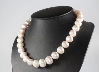 A string of cultured pearls with a 9ct white gold clasp, 40cm 