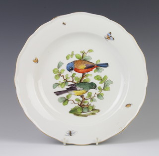 A 19th Century Meissen plate decorated with birds and insects 24cm 