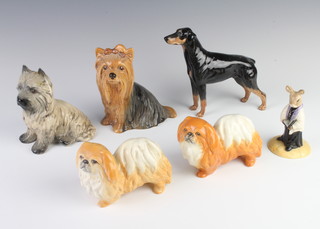 A Sylvac terrier 7411 13cm, a ditto Yorkshire Terrier 5027 13cm and a Pekingese 3135 10cm, ditto 10cm, Doberman Pinscher and a Royal Doulton Bunnykins figure
