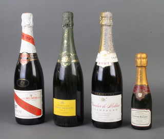 A bottle of Mumm Cordon Rouge champagne, a bottle of Chevalier de Melline champagne, a bottle of Marie Demets champagne and a small bottle of Laurent-Perrier champagne 