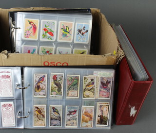 Three albums of various cigarette cards together with loose cigarette cards - Wills etc 
