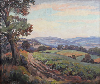 W C Horsnell, oil on canvas signed, extensive country landscape 50cm x 60cm 