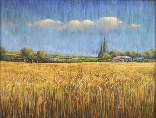 David Runnalls, pastel signed, extensive country landscape 48cm x 63cm 