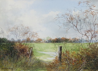 Dennis Morley, watercolour signed, country landscape 25cm x 33cm 