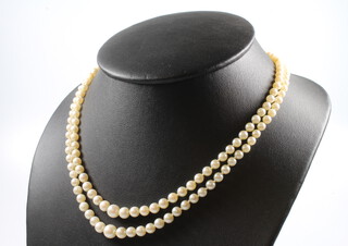 A double strand of cultured pearls with a 9ct yellow gold turquoise and seed pearl clasp, 42cm 