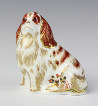 A Royal Crown Derby Imari pattern paperweight - Cavalier King Charles Spaniel gold stopper, 9cm 