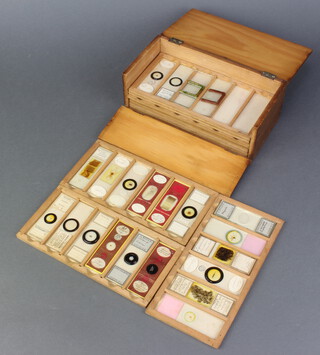 A 19th Century pine microscopic slide box containing 10 trays of 22 microscope slides 