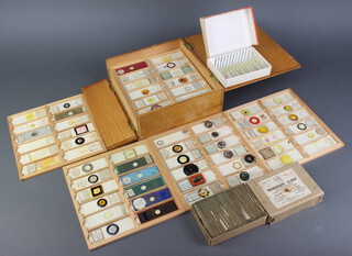 A 19th/20th Century pine microscope slide box containing 12 various trays of 102 19th Century and later microscope slides together with a box of 12 pre-prepared slides of pollen and spore no.23 and a box of Griffin and Tatlock blank slides 
