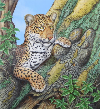 Richard W Orr, acrylic signed, study of a leopard 48cm x 43cm 