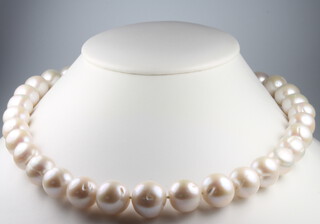 A string of cultured pearls with a brushed 9ct white gold clasp 44cm 