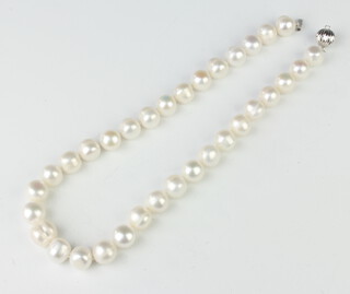 A string of cultured pearls with a 9ct white gold ball clasp, 45cm 