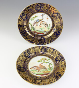 A pair of 19th Century Continental plates, the blue and gilt rims enclosing exotic birds 21cm 