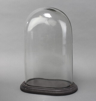 A Victorian style oval glass dome, raised on an ebonised base 39cm h x 23cm w x 13cm d 