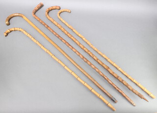 Two Edwardian bamboo walking canes, two holly canes, a hardwood walking stick with horn terminal 