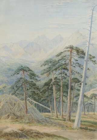 J W Walrond, watercolour signed and dated 1888, Corsican forrest study with distant mountains 44cm x 31cm 