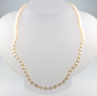 A strand of cultured pearls with silver clasp, 44cm 