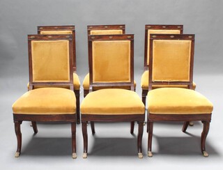 A set of 6 French rosewood Empire dining chairs, the seats and backs upholstered in yellow material, raised on cabriole supports with brass paw feet 