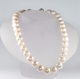 A string of cultured pearls with a 9ct white gold clasp 44.5cm 
