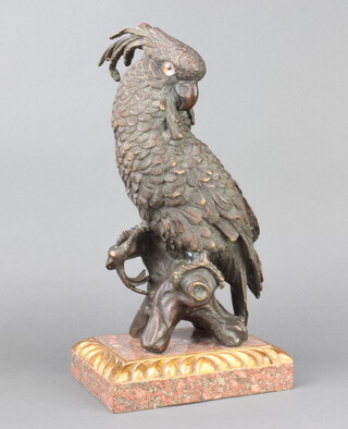 A bronze figure of a seated cockatoo with glass eyes, raised on a marble effect base 34cm h x 18cm w x 14cm d 