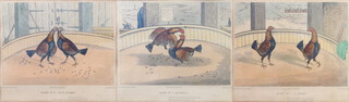 C R Stock, coloured engravings, cock fighting studies "A Start", "Business" and "Fast Locked" 19cm x 21.5cm 
