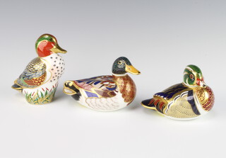 A Royal Crown Derby Imari pattern paperweight Green Winged Teal with gold stopper 13cm, a duck silver stopper 13cm and a Carolina Duck gold stopper 12cm 