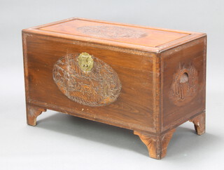 A Chinese carved camphor coffer with hinged lid 64cm h x 104cm w x 53cm d 