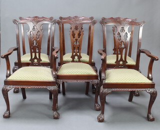 A set of 6 Edwardian Chippendale style mahogany dining chairs with pierced vase shaped slat backs and upholstered drop in seats, raised on cabriole ball and claw supports 