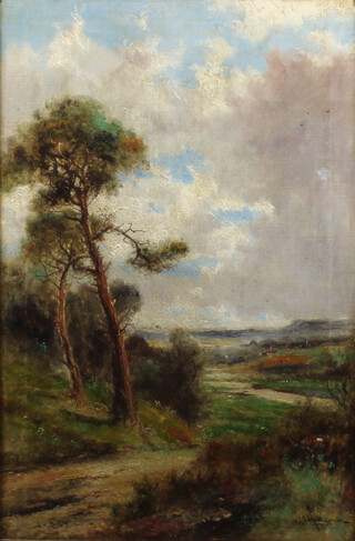 Abraham Hulk II (1851-1922), oil on canvas signed, extensive country landscape with distant cottages 75cm x 50cm 