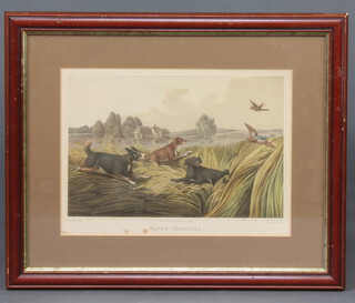 After Henry Alkin, a 19th Century coloured print "Water Spaniels" 22cm x 31cm
