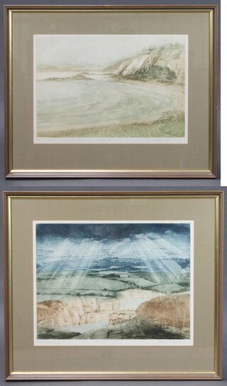 Michael Chaplin, a pair of limited edition coloured etchings "Bluebell Quarry" no.136/200 43cm x 56cm and "Rising Tide" no.4/185 39cm x 53cm  