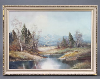 H Ross, oil on canvas signed, Continental mountainous landscape 48cm x 68cm 