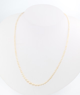 A single strand of cultured graduated pearls with a yellow gold sapphire set clasp 38cm 