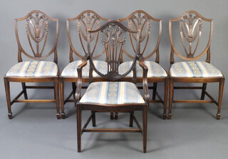 A set of 5 Edwardian Hepplewhite style shield back dining chairs - 1 carver, 4 standard, raised on square tapered supports with H framed stretcher 