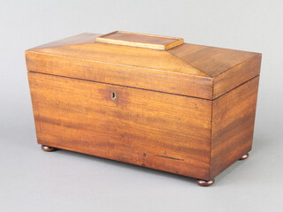 A 19th Century mahogany twin compartment tea caddy of sarcophagus form, raised on bun feet 16cm x 32.5cm x 16cm 