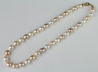 A string of 2 colour cultured pearls with an 18ct yellow gold clasp 42cm 