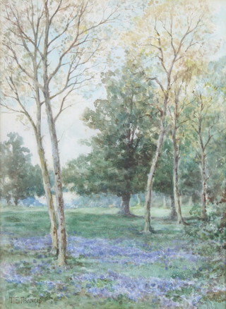 Thomas Edward Francis (1899-1912) watercolour signed, woodland scene, 29cm x 21cm 