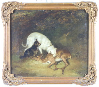 19th Century oil on canvas unsigned, study of a terrier mauling a deer with another terrier beside him, 24cm x 28cm 